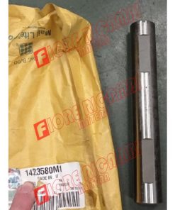 Alternative view of 1423580M1 - PERNO